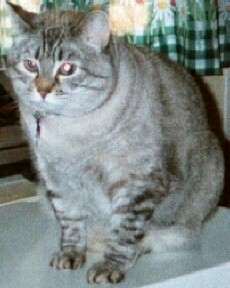 mayuka.jpg